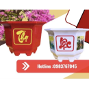 Chậu Nhựa Giá Rẻ Miền Nam