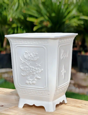 Chậu Mẫu 1