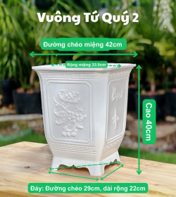 Chậu Vuông Tứ Quý 2