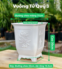 Chậu Vuông Tứ Quý 3
