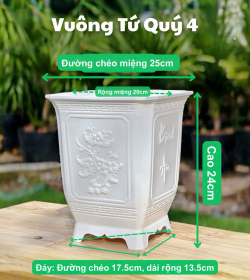 Chậu Vuông Tứ Quý 4