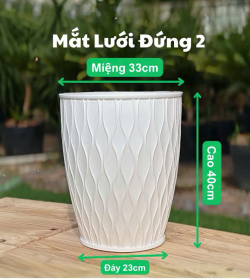 Chậu Mắt Lưới Đứng 2
