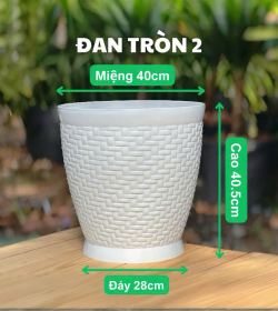 Chậu Đan Tròn 2