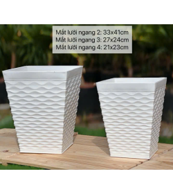chậu Mắt Lưới ngang