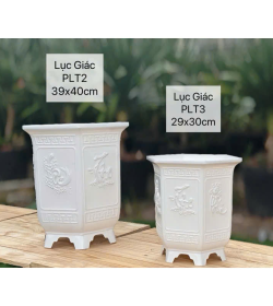 Chậu Lục Giác