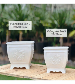 Chậu Vuông Hoa Sen