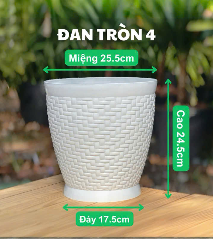 Chậu Đan Tròn 4