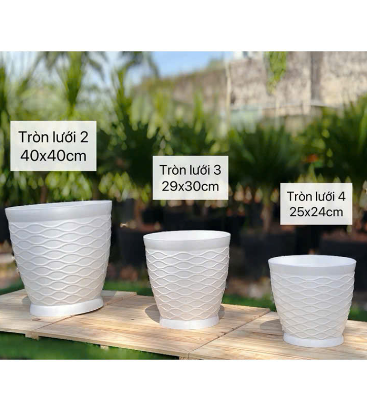 Chậu Tròn Lưới